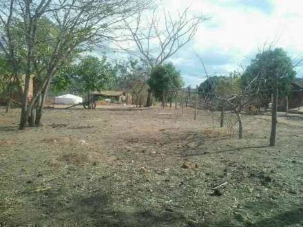 Assentamento em Pedras de Maria da Cruz (Foto: Ana Carolina Ferreira / G1)