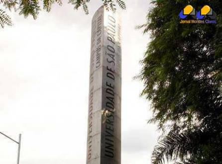 Brasil - USP apresentará relatório sobre estupros na próxima semana