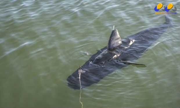 Com tamanho e forma semelhante, drone será um espião no fundo do mar.