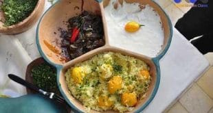 Festa do Pequi 2014 - Oficina de Culinária propôs novas formas de enxergar e degustar o fruto símbolo do cerrado‏