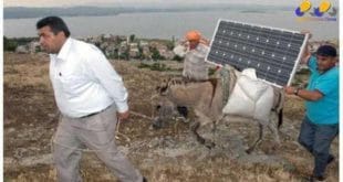 Jumentos levam energia solar e internet a lugares remotos da Turquia