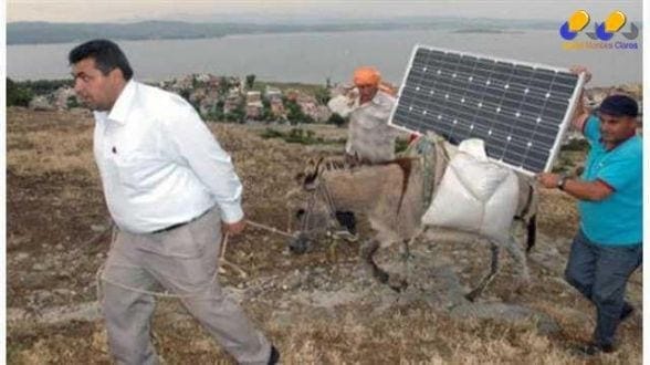 Jumentos levam energia solar e internet a lugares remotos da Turquia