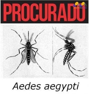 Montes Claros terá nove dias de “guerra” ao Aedes aegypti