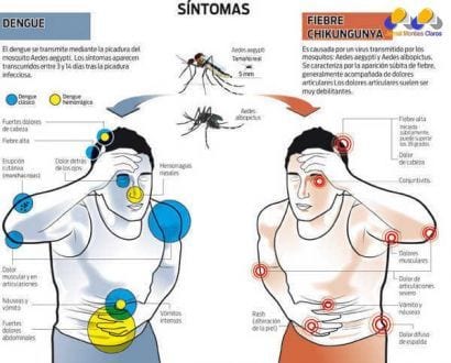 Brasil - Brasil enfrentará primeiro verão com dengue e chikungunya