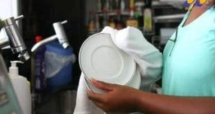 Brasil - Governo oficializa site que simplifica pagamento de imposto de doméstico