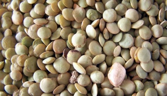 Lentilhas, romã, bacalhau e outros ingredientes são sinal de muito sucesso e fortuna no ano que está por vir! Foto: Free Images