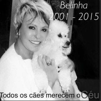 Morre Belinha, a famosa cadela de Ana Maria Braga