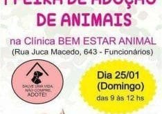 Montes Claros - Feira de adoção de animais