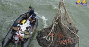 Ásia - Equipes de resgate recuperam mais corpos de voo da AirAsia