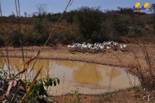 Montes Claros - Reunião na Secretaria Municipal de Agropecuária discute ações para o enfrentamento dos efeitos da seca‏