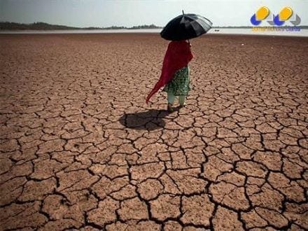 ONU confirma que 2014 foi o ano mais quente na Terra