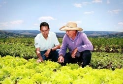 Empresa está presente em 93% dos municípios e atende a 400 mil famílias rurais. Promove desenvolvimento rural sustentável e qualidade de vida no campo.