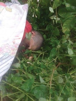 Montes Claros - Homem de 24 anos e assassinado no bairro Vila Sion
