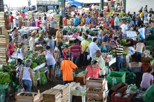 Montes Claros - Ceanorte atrai milhares de consumidores e beneficia centenas de produtores rurais