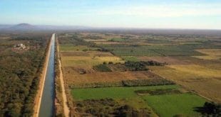 Norte de Minas - Sedinor busca solução para impasse ambiental no Projeto Jaíba