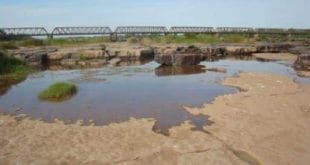 MG - Fórum Mineiro de Comitês de Bacias Hidrográficas discute escassez hídrica e solução para o problema