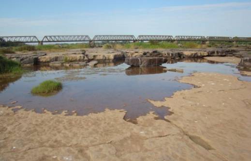 MG - Fórum Mineiro de Comitês de Bacias Hidrográficas discute escassez hídrica e solução para o problema