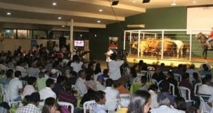 Norte de Minas - Leilões de 7 mil animais na 34ª ExpôJanaúba devem arrecadar R$ 15 milhões