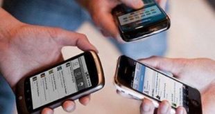 Brasileiros preferem aplicativos com foco em eficiência e segurança