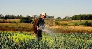 Norte de Minas - Empreendimentos do agronegócio serão fiscalizados no Norte de Minas