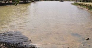 Montes Claros - Prefeitura notifica estabelecimento por poluição da lagoa do Parque Milton Prates
