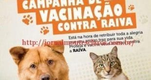 Montes Claros - Campanha de vacinação antirrábica para cães e gatos será hoje em Montes Claros