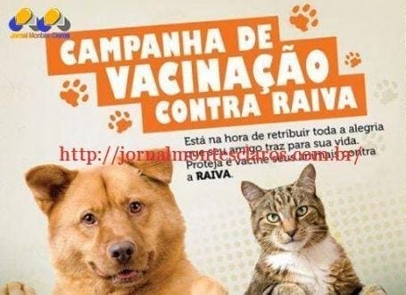 Montes Claros - Campanha de vacinação antirrábica para cães e gatos será hoje em Montes Claros