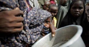 A campanha foi lançada no Dia Mundial da Alimentação