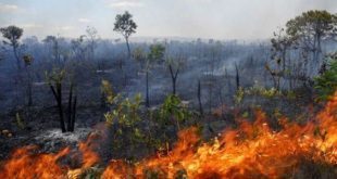 Montes Claros - Combate a incêndios: "Operação Veredas" prossegue até o próximo dia 2