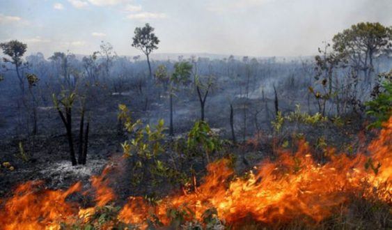 Montes Claros - Combate a incêndios: "Operação Veredas" prossegue até o próximo dia 2