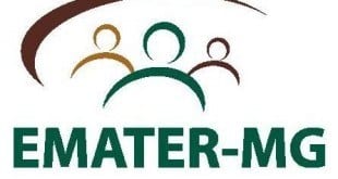 Concursos - Emater Minas Gerais lança edital para concurso público