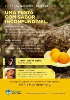 Festa Nacional do Pequi - Praça dos Jatobás está sendo preparada para receber o evento