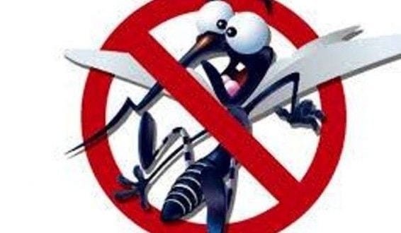 MG - Campanha para combate ao Aedes aegypti deve chegar às escolas estaduais de Minas Gerais