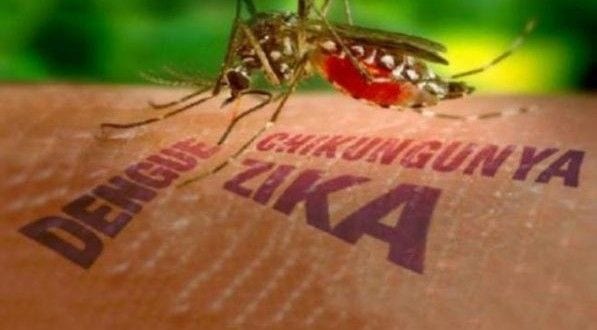 MG - Ministério Público de Minas Gerais vai intensificar autuação no combate ao aedes aegypti