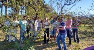 Norte de Minas - Circuito Frutificaminas tem participação de quase 7 mil produtores em seis anos