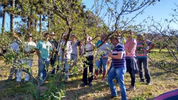 Norte de Minas - Circuito Frutificaminas tem participação de quase 7 mil produtores em seis anos