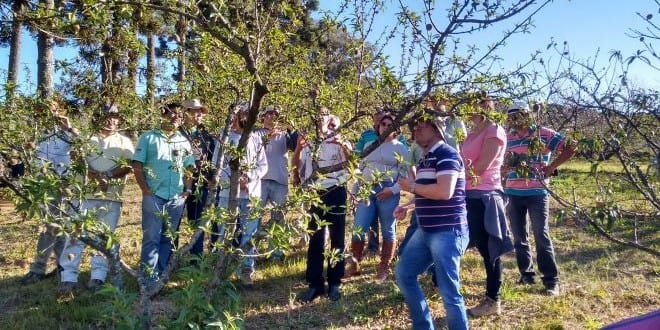 Norte de Minas - Circuito Frutificaminas tem participação de quase 7 mil produtores em seis anos