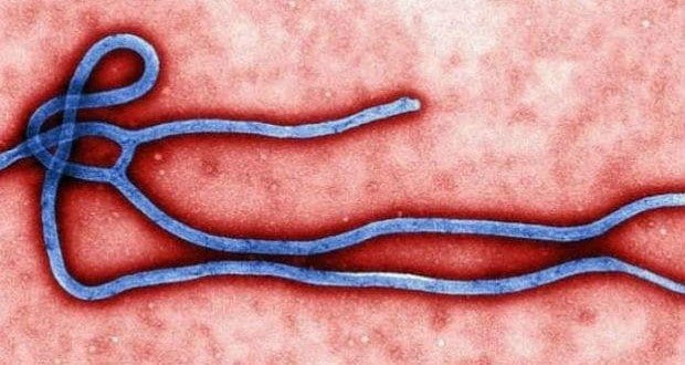 OMS declarou fim da epidemia nessa quinta-feira (14)