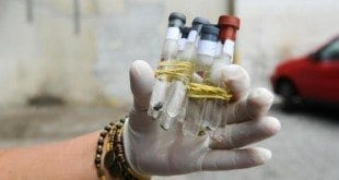 Saúde - Vírus Zika está presente em saliva e urina