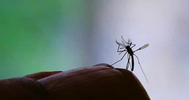 Especialistas ouvidos pela Agência Estado afirmam que todas as crianças de mulheres que tiveram suspeita ou confirmação de zika durante a gestação devem ter seus filhos monitorados, independentemente de quadros associados de microcefalia