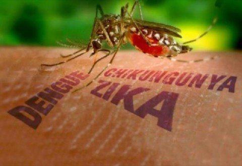 MG - Araxá investiga primeiro caso suspeito de Chikungunya