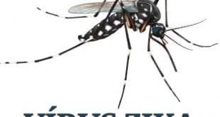 MG - Caso de zika vírus em recém-nascido é descartado em Curvelo