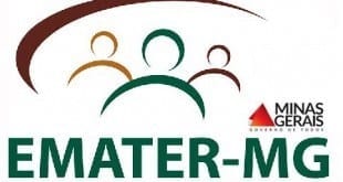 Concursos - Emater-MG abre inscrições para concurso público de níveis médio e superior em todo o Estado
