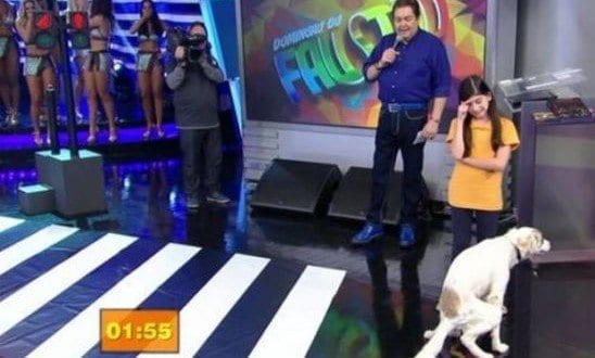 Apesar do deslize, as crianças e cachorros se divertiram com o novo quadro do "Domingão do Faustão"