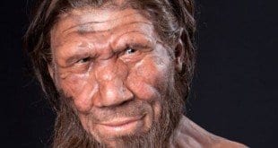 Genes de Neanderthal são encontrados nos homens modernos
