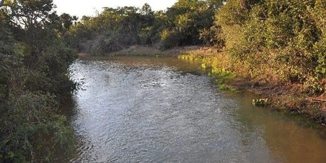 O projeto visa identificar os possíveis impactos que a pequena central elétrica ainda causa no ecossistema aquático do rio Pandeiros, em Januária