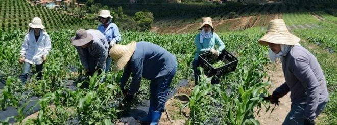 Estado tem feito todo esforço para estruturar e ampliar o acesso ao mercado para os agricultores familiares