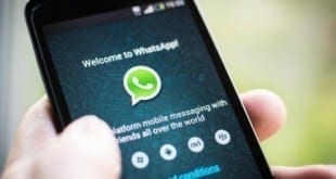Whatsapp Criptografado, o que significa?