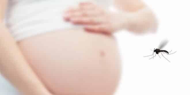 Montes Claros lidera ranking de grávidas infectadas pelo zika vírus em Minas Gerais