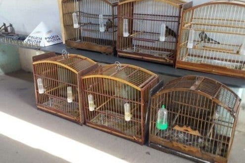 Montes Claros - Ação conjunta da Polícia Civil e Militar culmina com 03 pessoas detidas Foto: PM